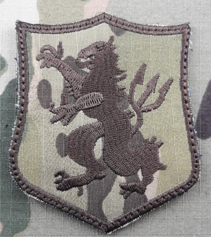 PATCH  NAVY SEALS ,SIX TEAM DEVGRU MULTICAMO VELCRO 80X60mm