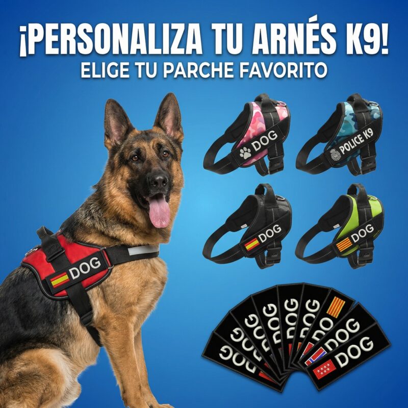 Imagen del producto